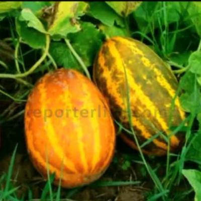 Pesahayile Vellari Paadam Pesahayile Vellari Paadam