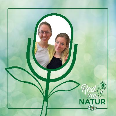 Frühlingserwachen am Balkon