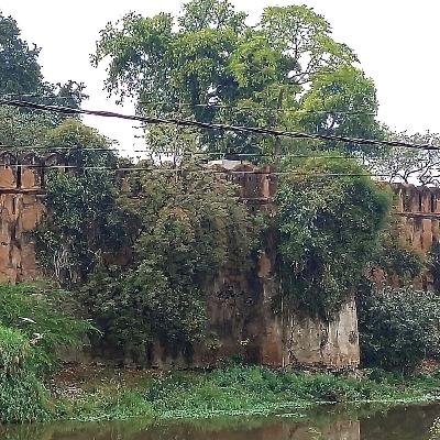 TUM TOOFAN SAMAJH PAOGE (HINDI POETRY) HARIVANSH RAI BACHCHAN TUM TOOFAN SAMAJH PAOGE (HINDI POETRY) HARIVANSH RAI BACHCHAN