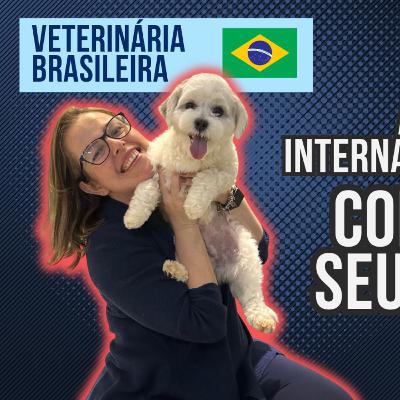 Transporte de Animais para os EUA: Regras, Documentos e Cuidados Essenciais