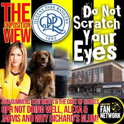 THE OPPOSITION VIEW - QPR (Home) THE OPPOSITION VIEW - QPR (Home)