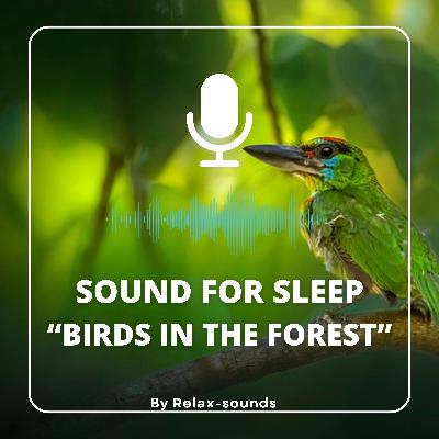 Sound for sleep | Birds in the Forest | 3 hours