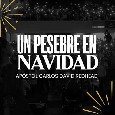 Un Pesebre en Navidad.