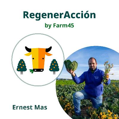 21. En VerdCamp Fruits las verduras regeneran los suelos con flores e insectos