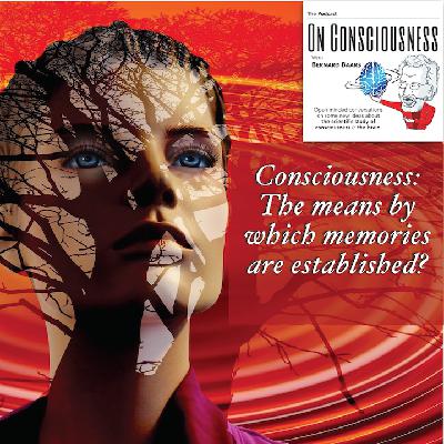 #11 — Brain Regions & Neural Functions Critical to Conscious States w/ Dr Jay Giedd *On Consciousness*