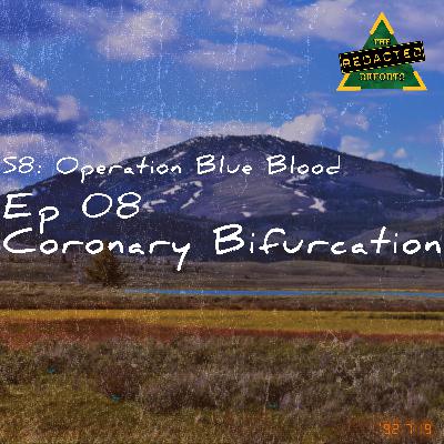 Blue Blood Episode 8 - Coronary Bifurcation