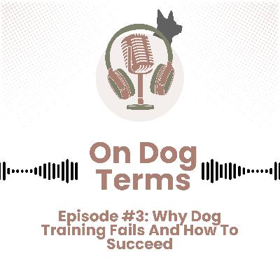 Why Dog Training Fails And How To Succeed