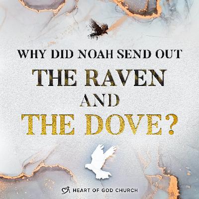Why did Noah send out the Raven and the Dove? (Part 1 of 4) - Pastor How (Tan Seow How) Why did Noah send out the Raven and the Dove? (Part 1 of 4) - Pastor How (Tan Seow How)