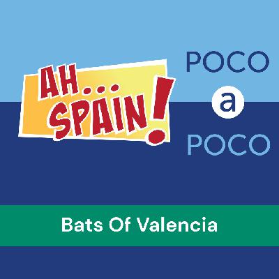 Poco A Poco: Bats Of Valencia