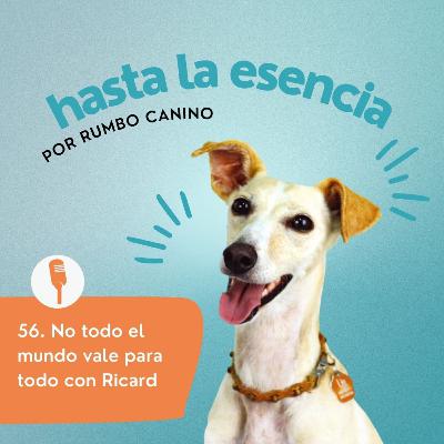56. No todo el mundo vale para todo con Ricard