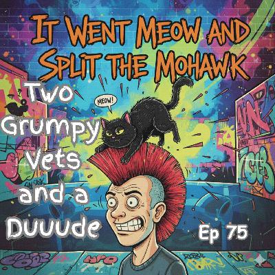 It Went Meow and Split The Mowhawk