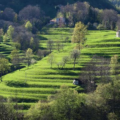 Giro della Valle di Muggio Giro della Valle di Muggio