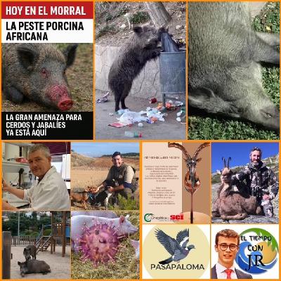 EL MORRAL DEL CAZADOR 05-12-2025 PROG 457 " LLEGADA DE LA PESTE PORCINA AFRICANA Y FUTURO DE LA CAZA" EL MORRAL DEL CAZADOR 05-12-2025 PROG 457 " LLEGADA DE LA PESTE PORCINA AFRICANA Y FUTURO DE LA CAZA"