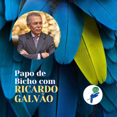 Papo de Bicho #34 com RICARDO GALVÃO