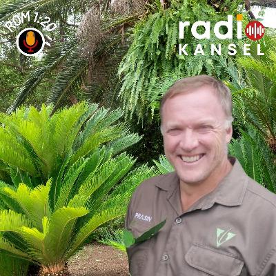 Romeine 1:20 - God openbaar in die Broodboom