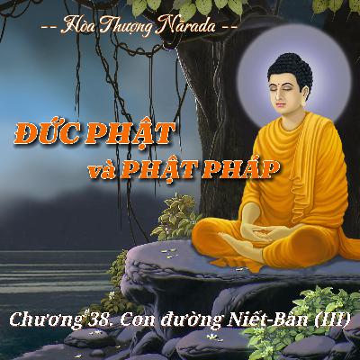 Đức Phật và Phật Pháp | Chương 38. Con đường Níp-Bàn (Niết-Bàn) (III) - Hòa Thượng Nārada