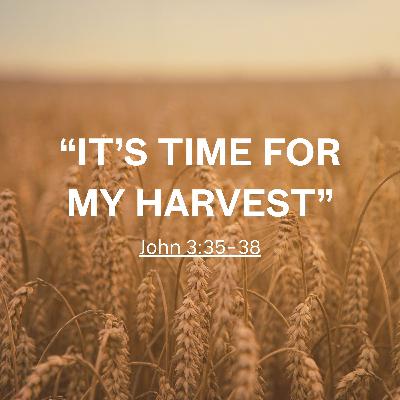 It's Time For My Harvest