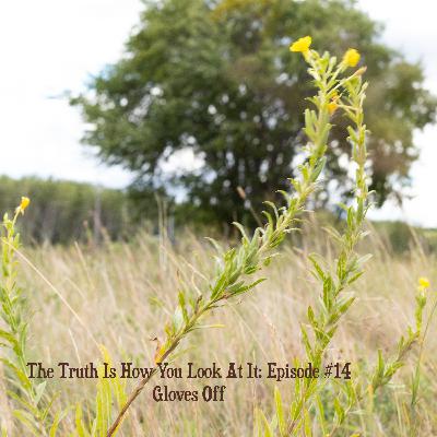 The Truth Is How You Look At It: Episode #14 Gloves Off