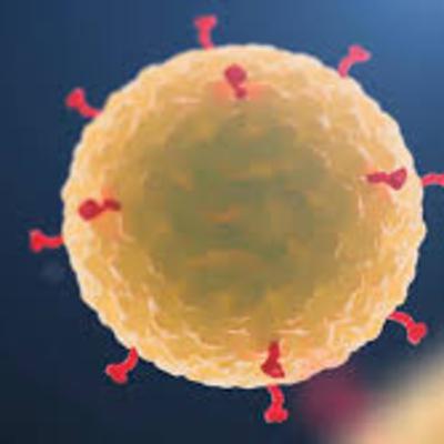 Coronavirus in NY - Desperate for a test Podcast