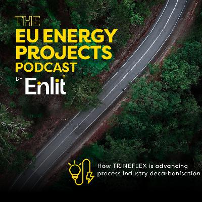 How TRINEFLEX is advancing process industry decarbonisation