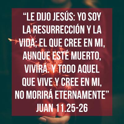 Reflexiones (Episodio 09) - Un regalo que disfrutarás para siempre [Juan 11.25-26]