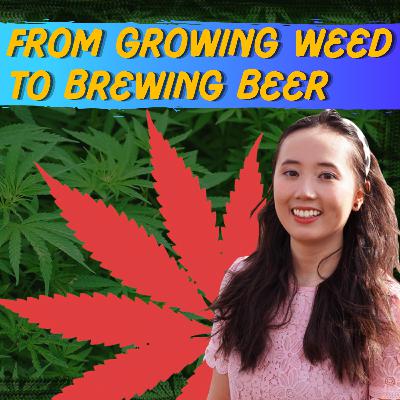 From Growing Marijuana to Selling Home Brewing Equipment | Bräu Supply