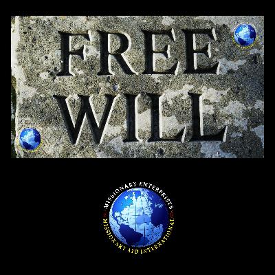 EP345 - FREE WILL