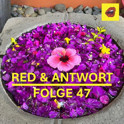 #47 – Alltagsrituale, Besetzungen und das Jahr in drei Worten