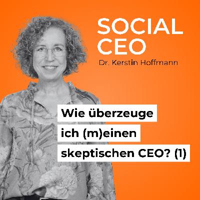 Wie überzeuge ich (m)einen skeptischen CEO? – Teil 1 Wie überzeuge ich (m)einen skeptischen CEO? – Teil 1