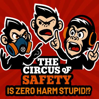 Is zero harm stupid?