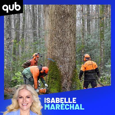 «Nos gouvernements ne travaillent plus pour nous mais pour les compagnies forestières ou minières!»