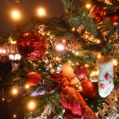 Как встретить Новый Год на Кубани Как встретить Новый Год на Кубани