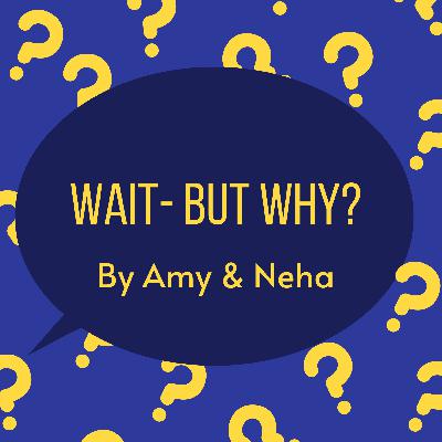 Wait- But Why? | EP:1