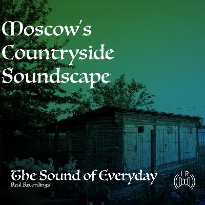 Village Nocturne | Moscow's Countryside Soundscape | Gentle Stream Brown Noise