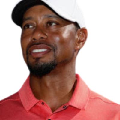 TIGER WOODS,TI AND TINY PLUS SNOOP QUITS TIGER WOODS,TI AND TINY PLUS SNOOP QUITS