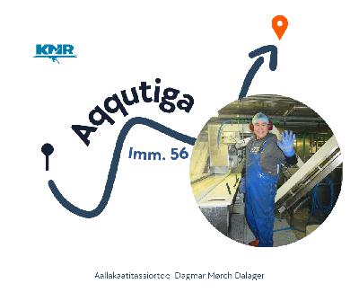 Aqqutiga imm. 56