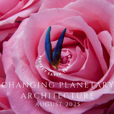 The Divine Elaysa Flowering Antahkahrana Database (Ultra Celestial Intelligence)
