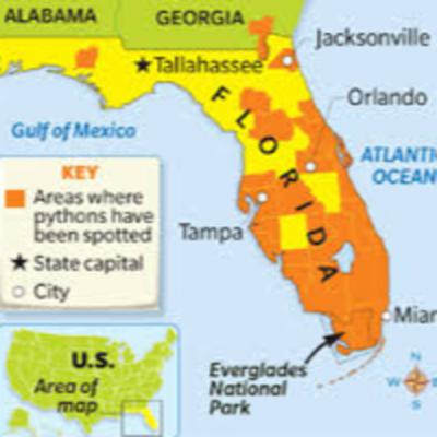 What Is An Invasive Species?