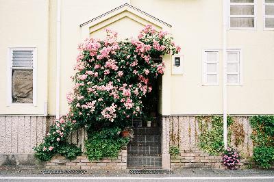 Shooting Superia Premium 400 in Japan