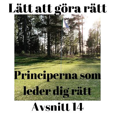 Principerna som leder dig rätt