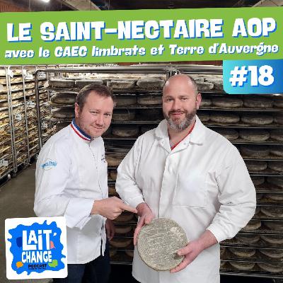 Lait'Change #18 - Regard croisé sur le Saint-Nectaire AOP entre affineurs et producteurs - Fromage incontournable d'Auvergne