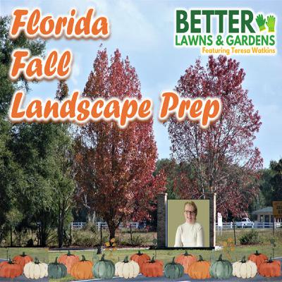 S2 Ep397: Better Lawns and Gardens - Hour 1 Fall Prep for Winter