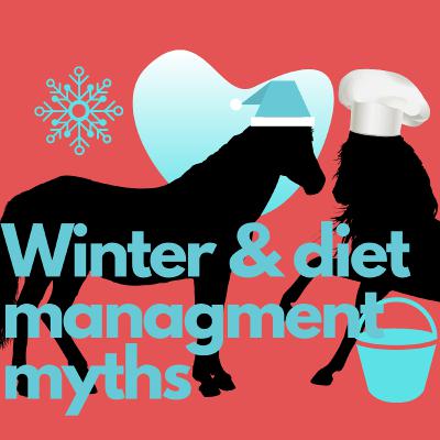 Basic Winter Horse Care Myths Busted (plus some bonus tips)