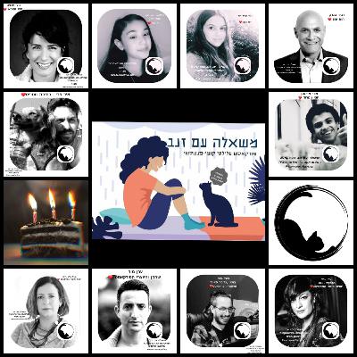 משאלה עם זנב - פרק 7 משאלה עם זנב - פרק 7