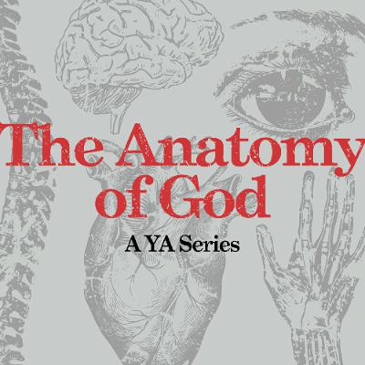 The Anatomy of God-His Eyes