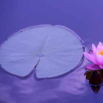 Meditação