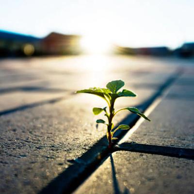 Light in Dark Times (Rabbi Sacks on Vayetse, Covenant & Conversation) Light in Dark Times (Rabbi Sacks on Vayetse, Covenant & Conversation)