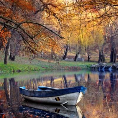 Dopoludnie na InfoVojne s Adrianom 24.10.2025 Dopoludnie na InfoVojne s Adrianom 24.10.2025