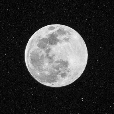 MXD by Granoffsky - black box 002