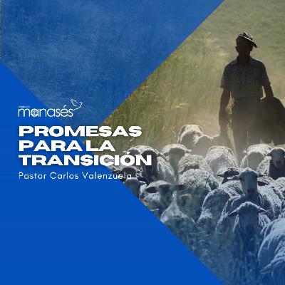 Promesas para la transición Promesas para la transición